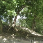山科本願寺