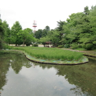 菖蒲園（本丸水濠）