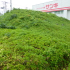 お店の道路沿いに土塁