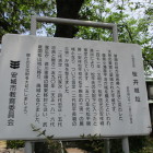 桜井城解説