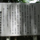 解説版