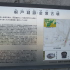 根戸城解説