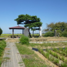 菖蒲城の菖蒲園