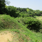 本佐倉城の土塁・堀・虎口