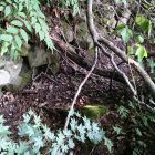 割ヶ嶽城登城口ワキの石積みとえぐれ(物資引き揚げ用？)