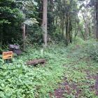 村岡城登城道分岐点