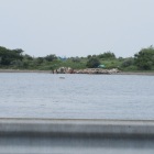 遠景