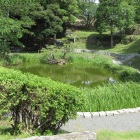 日月の池