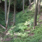 内堀土橋より望む