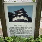 江戸城の富士見櫓を模した天守だったようです