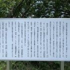 関宿城の歴史