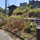 東土塁