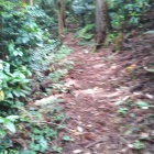 熊が出そうな登山道