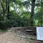 信玄狙撃場所