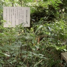 信玄が狙撃された場所