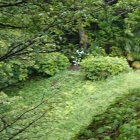 土橋