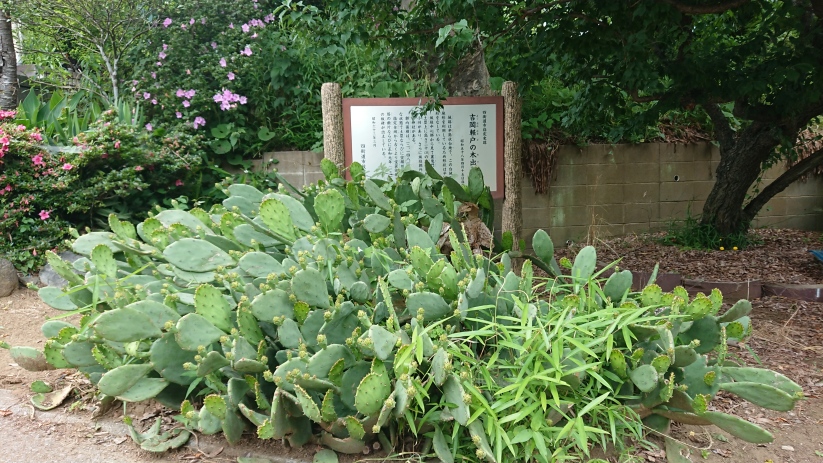 [木出城] 城びと