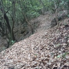 登城道、結構険しい