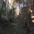 本丸南西側下の堀切・竪堀