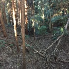 二ノ丸西側尾根の竪堀