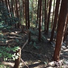 二ノ丸南西側下の畝状竪堀