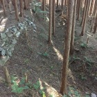 二ノ丸北西側の横堀