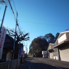 向かって左手に本丸があった。道路奥は、空堀の跡で、手前は水堀の跡