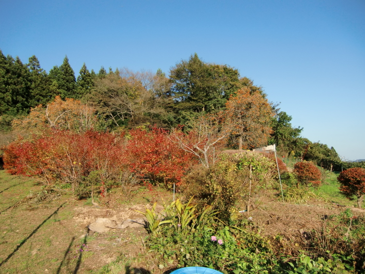 二日市館遠景