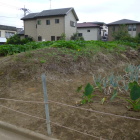 土塁①