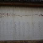 解説版