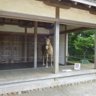 復元厩(馬がリアル)