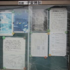 すぐ脇にある子安神社(水神様の管轄社)の掲示板