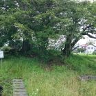 井川城全景1