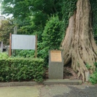 旧城寺境内の説明板