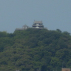 湯築城から見た松山城