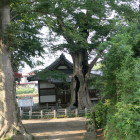 寺と大木