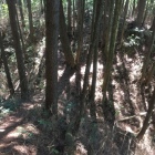 南曲輪の土橋付き堀切