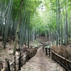 西郭と東郭を囲む堀と土塁