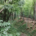本丸(西郭)広場手前の堀と土塁