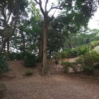 土塁