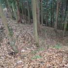 別角度から見た畝状竪堀群