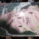 推定復元図