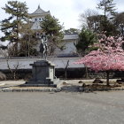 騎馬像と桜と天守