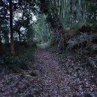 登城路