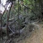 登城路