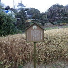 蓮池跡