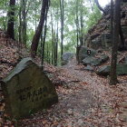 城址入口の堀切