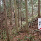 御殿場跡と東砦間の谷