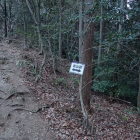 登山路