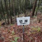 出丸猿戻し(切岸)